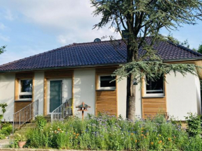 Ferienhaus Urwald